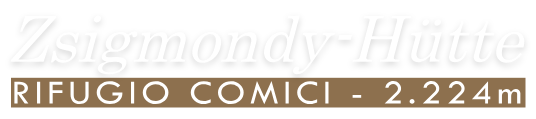 logo-zsigmondy